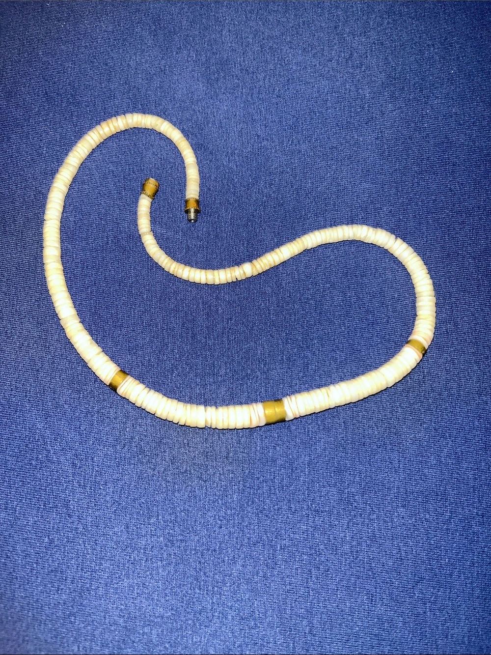 Shell Necklace